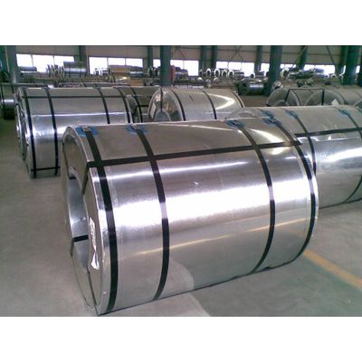 galvanized steel sheets in coil