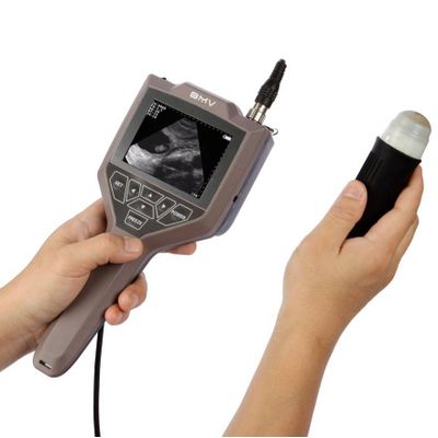 Bovine ultrasound scanner FARMSCAN M30,pig veterinary ultrasound scanner