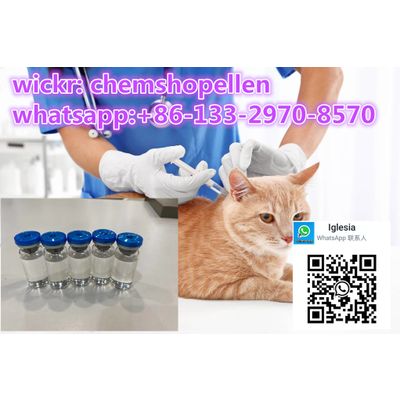 Treat for Cat 15mg/Ml Fipv/GS-441524 CAS 1191237-69-0 wickr: chemshopellen