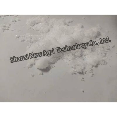 CAS10377-60-3 High Quality Magnesium Fertilizr