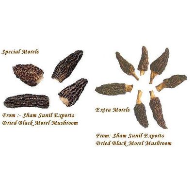sub: Exports of Indian Black Dried Morels Mushroom