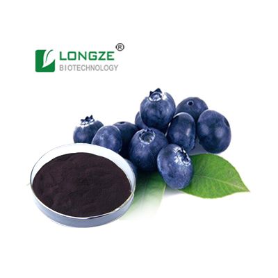 European Bilberry Extract Powder,Plant extract,herbal extract.Anthocyanidins