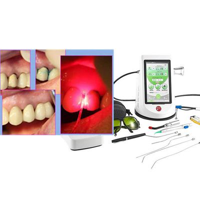 Class IV Dental Laser Machine , Dental Soft Tissue Laser High Efficiency