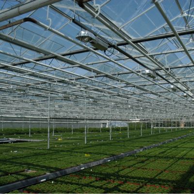 long span high rise steel structure light framed glass greenhouse