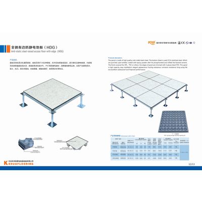 Anti-static steel raised access floor with edge (HDG)