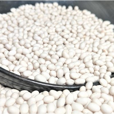White Kidney Beans, Black Kidney Beans, Green Mung Beans all available in stock whole sale