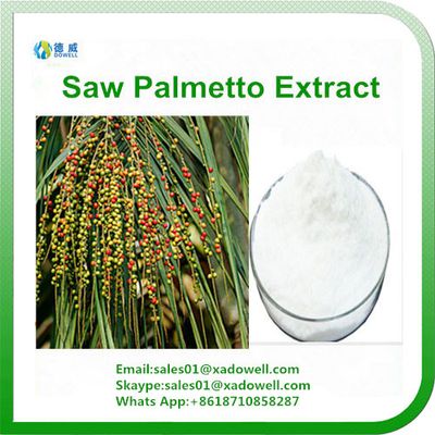 Natual Saw palmetto extract CAS: 67701-06-8