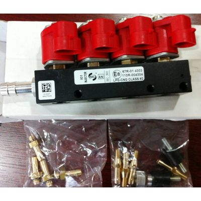 ROYALGAS LPG and CNG Autogas Injector Rail for sequential vehicles