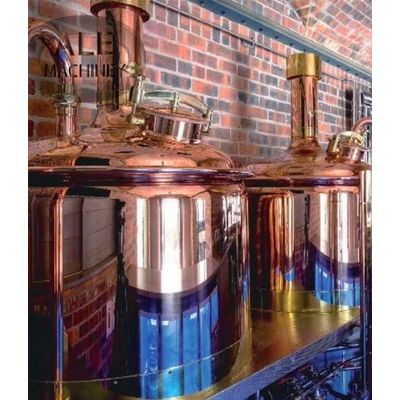 Turnkey All In One 3 Bbl Beer Brewing System For Sale
