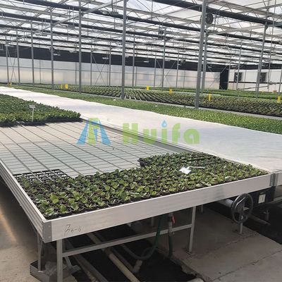 Greenhouse Ebb and Flow Tray Rolling Benches and Tables For Sale