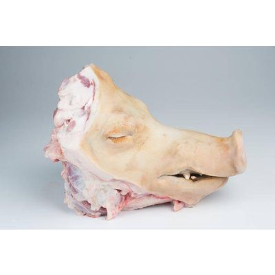 Pork head without ears