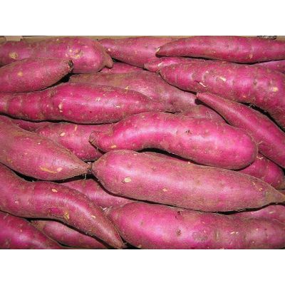 Fresh Sweet Potatoes