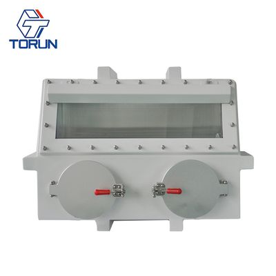 China Torun transition cabinet laboratory vacuum glove box