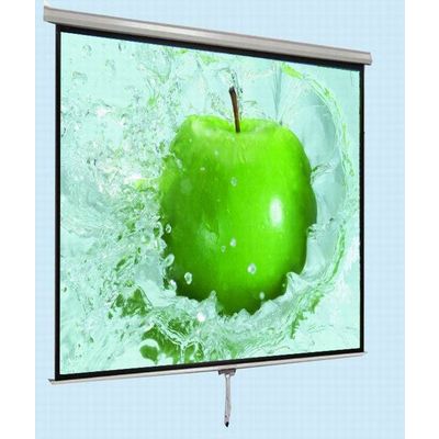 Neptune wall mounted manual projector screen with self-locking device
