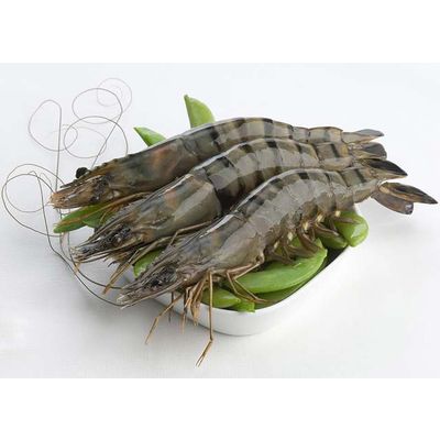 Raw HOSO Black Tiger Shrimp with High Quality, Competitive Price and On-Time Delivery (Wehapi.vn)