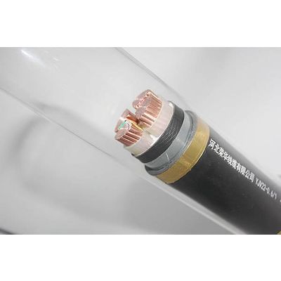 Electric Supply Cable