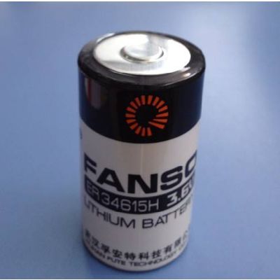3.6V Lithium Battery ER34615 ER34615H D Size Can Replace LS20 - Wuhan Fanso  Technology Co.,Ltd.