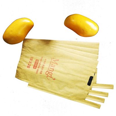 Double Layers Cacbon Inner Mango Fruit Protection Bags