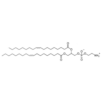 LNP Delivery System Excipient 1,2-dioleoyl-sn-glycero-3-phosphoethanolamine, DOPE