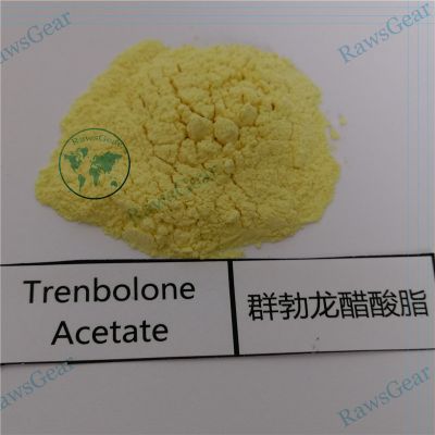 Trenbolone Acetate Raw Powder CAS 10161-34-9 Tren Ace injection