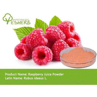 health foods Organic Raspberry Extract Powder