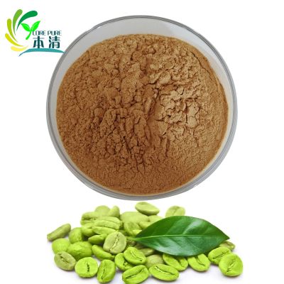 Supply Green Coffee Bean Extract Chlorogenic acid 50%