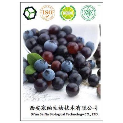 Super Antioxidant 100% natural plant extract Acai berry extract /Acai Extract 10:1/Acai juice powder