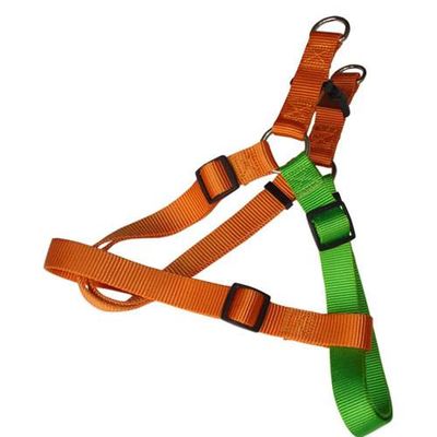 harness, leash, collar