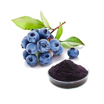 High quality Bluebery Fruit/Juice Powder,blueberry red juice concentrated,whole sale
