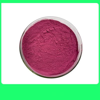 China Gold Supplier blackberry powder Plant Extracts