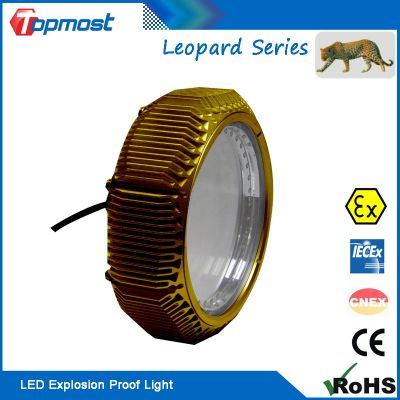 80W Anti-Explosive LED Lighting for Gas Station