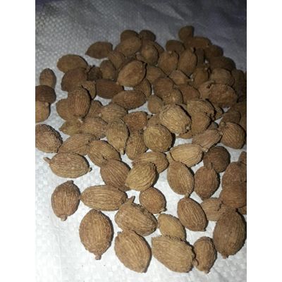cardamon seeds