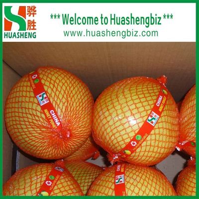 2022 New Season Seedless Guangxi Pomelo Fruit