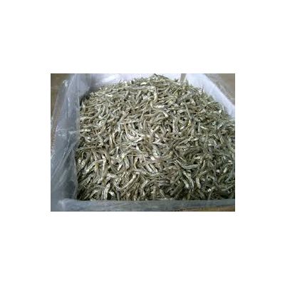 DRY ANCHOVY FISH