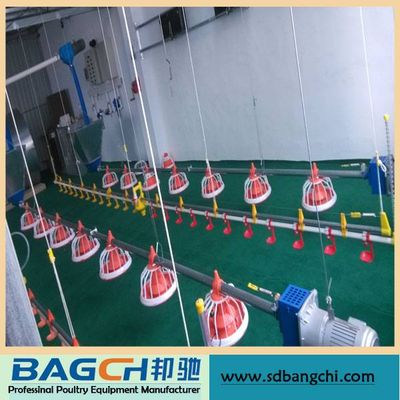 Bangchi Competitive Price Poultry Farming Equipment for Broiler House