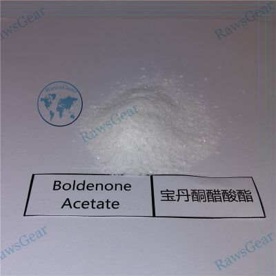 Boldenone Acetate Raw Powder 99.2% Purity