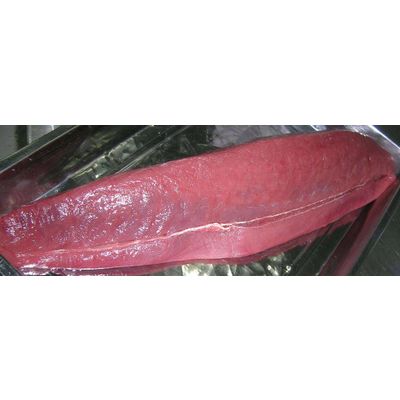Processed Tuna - Frozen Loin Tuna