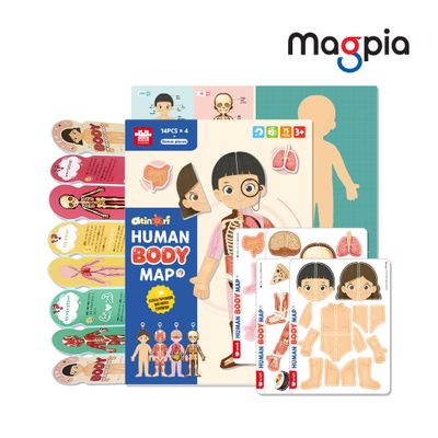 Human Body Map with Play Board