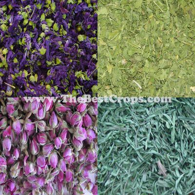 Iranian Herbal Tea, Top Quality (dried flowers, leaves, vegetables)