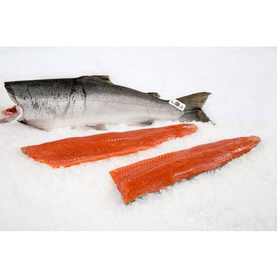 Fresh Frozen Salmon Fish