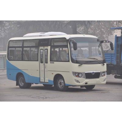 19 seater CNG mini bus LS6600N4