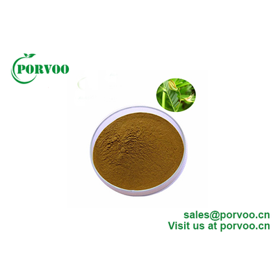 Porvoo supply natural Cassia Nomame Extract Flavones 8%
