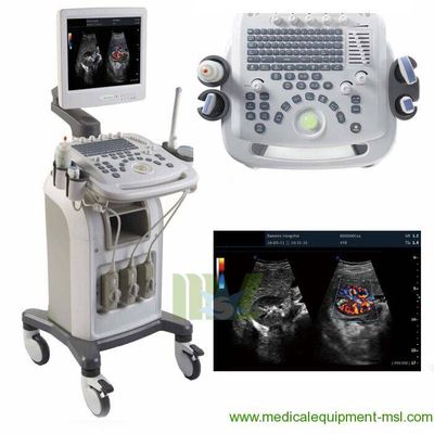 3D Color cardiac ultrasound machine / 4D Color cardiac USG with trolly MSLCU16