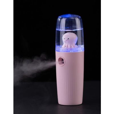 skin care facial spray Mini nano spray Beauty Face Ionic Portable Humidifier