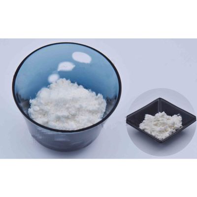 Testosterone Undecanoate Powder CAS 5949-44-0 Hot selling