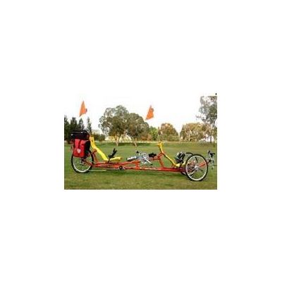 Two Person Recumbent Trike - ShenZhen Big Winner Industry&Trade Co.,Ltd.