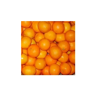 Fresh Tangerine/Mandarin Oranges