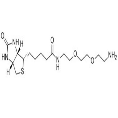 Biotin-PEG3-amine - Bono Sci