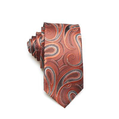 Wholesale Custom Design Paisley Print Ties Men Necktie