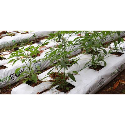 Grow bags with Coco pith/huskchip/chopped fibre